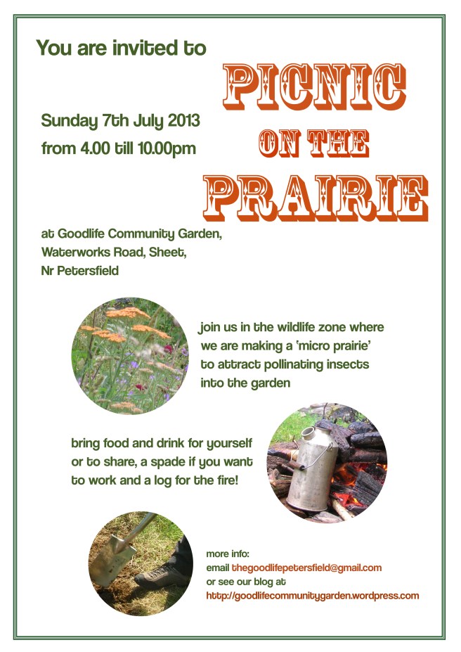 picnic on the prairie poster
