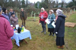 Wassailing the trees 