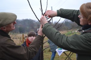 Bruce cuts out a central stem