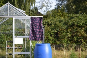 Greenhouse with veiled sign