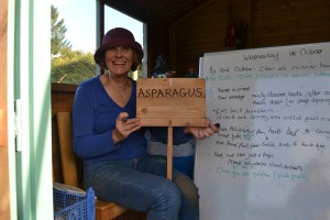 Louise has been preparing signs for some of our beds