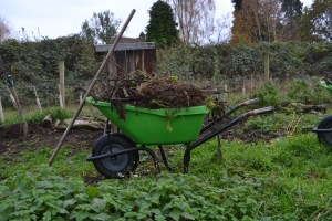 moving compostable material after bed clearing