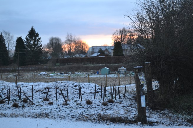 Sunrise over the garden from the AEAA carpark