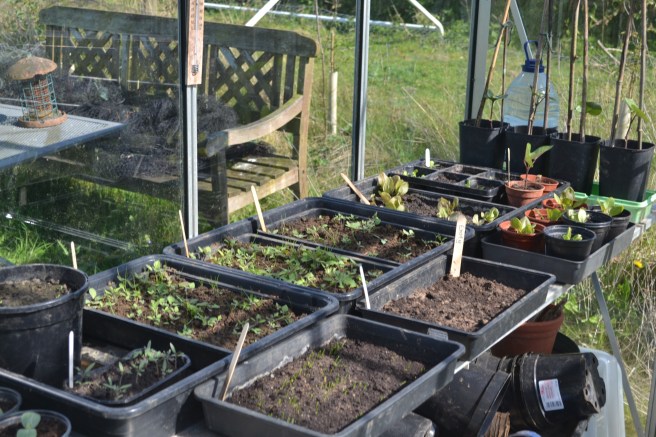 Community Garden in april