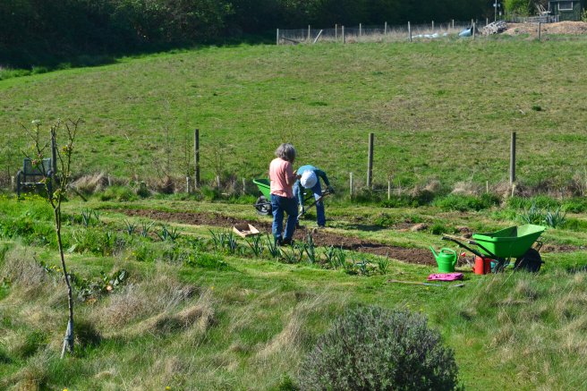 Community Garden in april