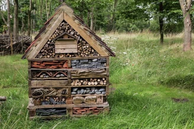 Petersfield Community Garden Bug House 2020