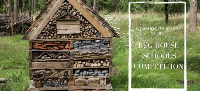 Petersfield Community Garden Bug Competition 2020