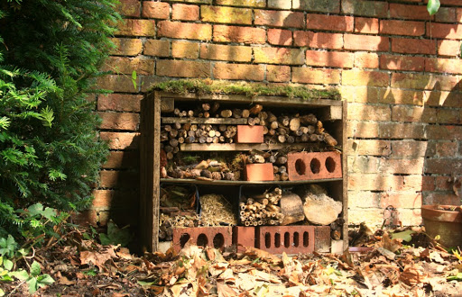 Petersfield Community Garden Bug House 2020