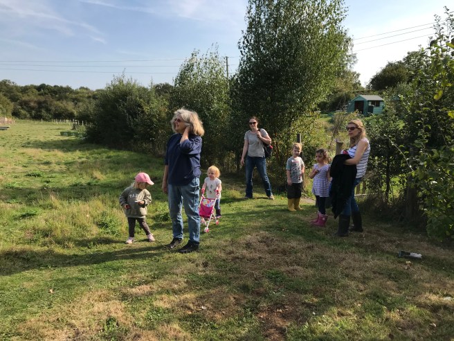 Petersfield Community Garden About Us